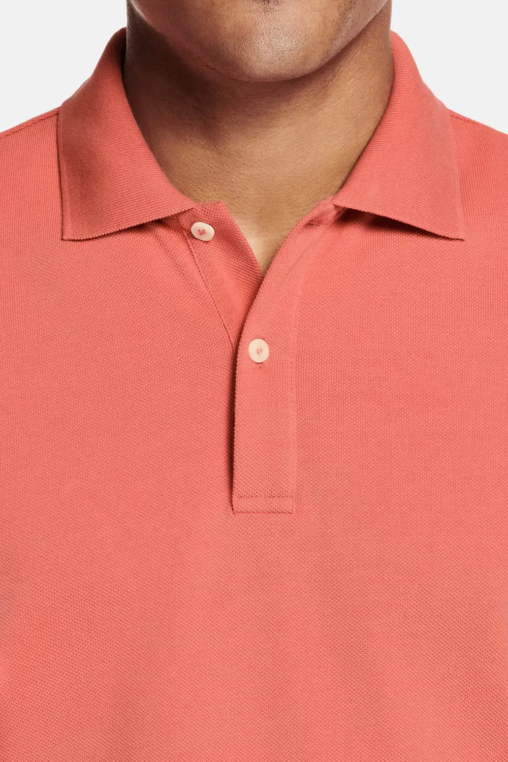 Everyday Cotton Polo