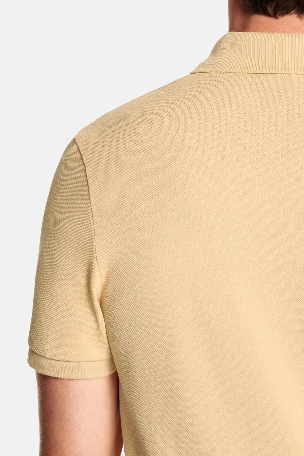 Everyday Cotton Polo